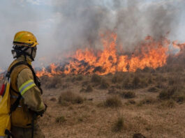 Cambio climático: “En Argentina tenemos una ley, pero sólo tres provincias tienen planes aprobados” El cambio climático intensifica los incendios en Corrientes mediante sequías más largas y olas de calor.