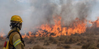 Cambio climático: “En Argentina tenemos una ley, pero sólo tres provincias tienen planes aprobados” El cambio climático intensifica los incendios en Corrientes mediante sequías más largas y olas de calor.