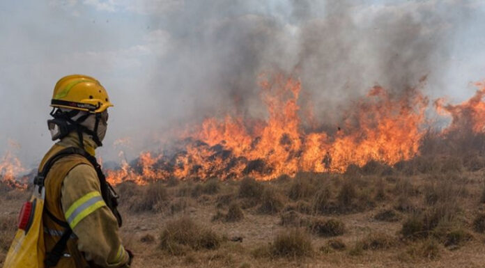 Cambio climático: “En Argentina tenemos una ley, pero sólo tres provincias tienen planes aprobados” El cambio climático intensifica los incendios en Corrientes mediante sequías más largas y olas de calor.