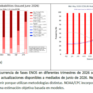 Informe 1