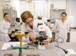 Convocan a investigadores y emprendedores de la UNNE para la primera jornada de Innovación Abierta del NEA
