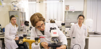 UNIVERSIDAD EMPRESA ESTADO Convocan a investigadores y emprendedores de la UNNE para la primera jornada de Innovación Abierta del NEA