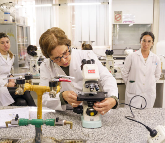 Convocan a investigadores y emprendedores de la UNNE para la primera jornada de Innovación Abierta del NEA