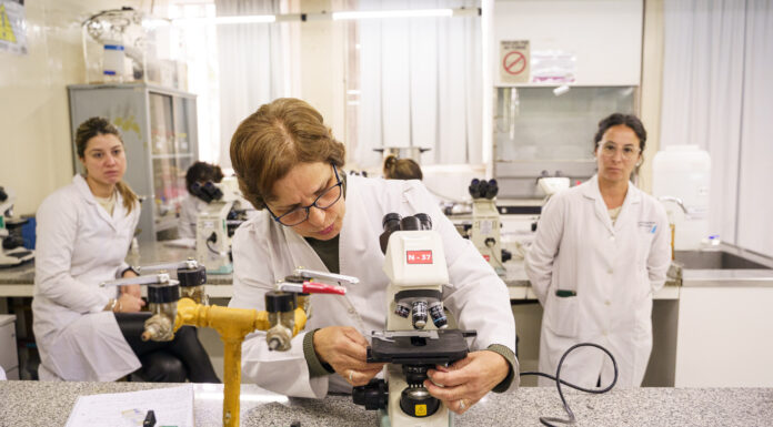 UNIVERSIDAD EMPRESA ESTADO Convocan a investigadores y emprendedores de la UNNE para la primera jornada de Innovación Abierta del NEA