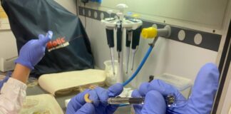 BIOTECNOLOGÍA A partir de extractos vegetales, obtienen compuestos bioactivos con capacidad antimicrobiana contra patógenos de infecciones cutáneas