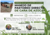 Jornada de actualización ganadera: «Manejo de pastoreo directo de caña de azúcar»