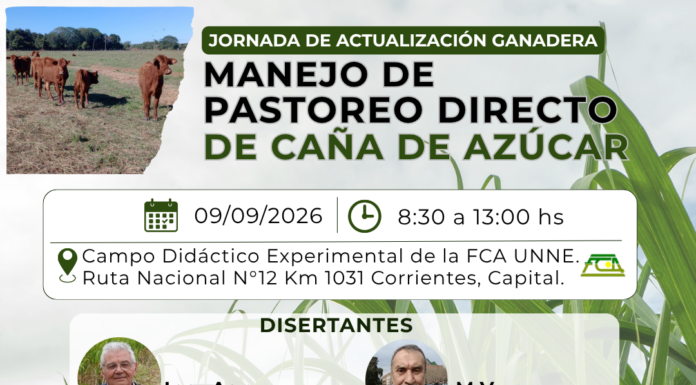 Jornada de actualización ganadera: «Manejo de pastoreo directo de caña de azúcar»