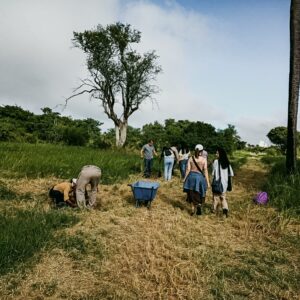 Jornada de sensibilización de especies urbanas UNNE2
