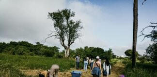 EN RESISTENCIA Y CORRIENTES Conexión Verde: jornada de sensibilización de especies urbanas para el voluntariado ambiental de la UNNE