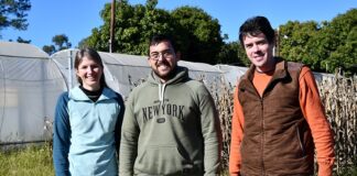 Estudiante de Agronomía identificará procesos que ayuden al cultivo de maíz a tolerar condiciones climáticas extremas