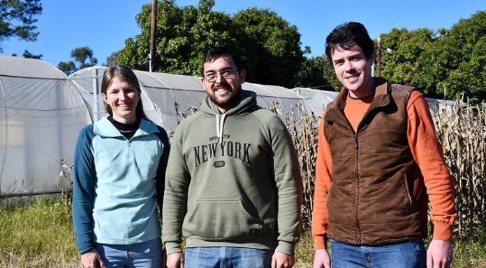 Estudiante de Agronomía identificará procesos que ayuden al cultivo de maíz a tolerar condiciones climáticas extremas