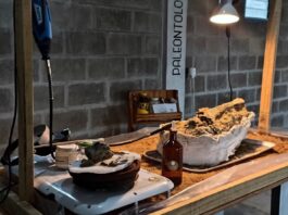 «L.U.PA», una propuesta que integra el conocimiento científico y la conservación del patrimonio paleontológico