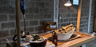 «L.U.PA», una propuesta que integra el conocimiento científico y la conservación del patrimonio paleontológico