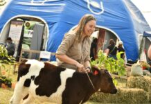 MUESTRA AGROPECUARIA Con amplia oferta, la UNNE dice presente en la 89° edición de la Exposición Rural de Corrientes