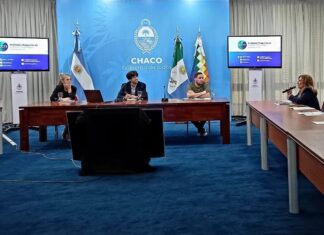 La UNNE presente en la primera reunión del Consejo Consultivo del Instituto Chaqueño de Ciencia, Tecnología e Innovación