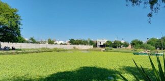 NUEVOS CONOCIMIENTOS Desarrollan mapa que muestra el impacto de los asentamientos informales en laguna urbana de Resistencia