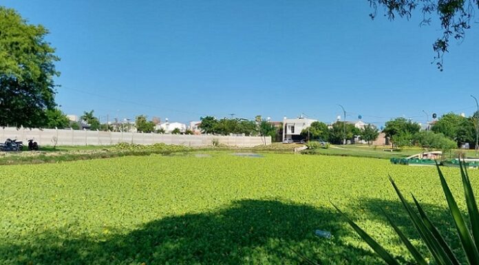 NUEVOS CONOCIMIENTOS Desarrollan mapa que muestra el impacto de los asentamientos informales en laguna urbana de Resistencia