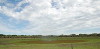 Por el déficit hídrico, en zonas de Corrientes se secaron el 87% de las lagunas