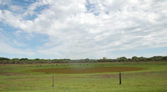 Por el déficit hídrico, en zonas de Corrientes se secaron el 87% de las lagunas