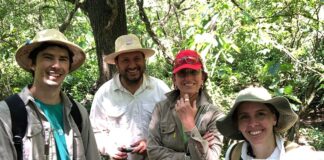 Nuevos Conocimientos Estudian el polen para saber qué plantas nativas eligen las abejas para producir miel en el Chaco Húmedo