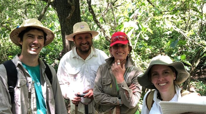 Nuevos Conocimientos Estudian el polen para saber qué plantas nativas eligen las abejas para producir miel en el Chaco Húmedo