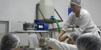 FACULTAD DE CIENCIAS VETERINARIAS Con elaboración de subproductos, buscan potenciar el aprovechamiento de la leche de búfala
