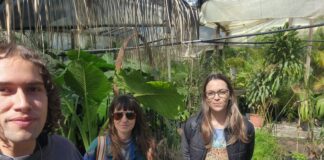 TRABAJO DE VINCULACIÓN Para aportar a la gestión integral, publicarán libro sobre especies exóticas invasoras de la provincia de Chaco