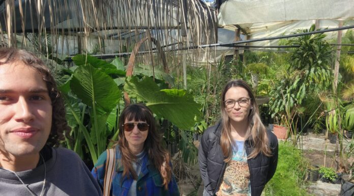 TRABAJO DE VINCULACIÓN Para aportar a la gestión integral, publicarán libro sobre especies exóticas invasoras de la provincia de Chaco