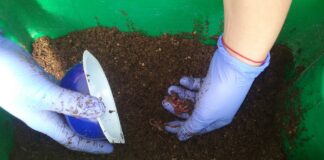 ENTREVISTA A ESPECIALISTA DE LA UNNE Lombricultura, una práctica sustentable que se puede realizar en los hogares