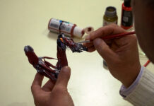 Conociendo el Museo de Anatomía del Desarrollo de la Facultad de Medicina