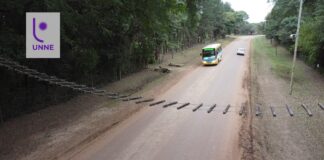 Investigadores de la UNNE instalan puentes pasafaunas para evitar atropellamientos
