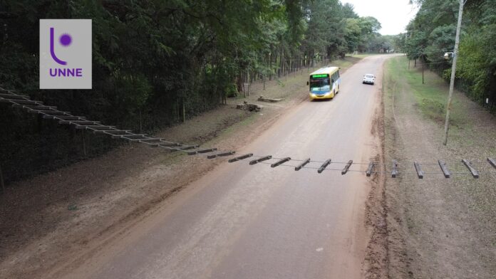 Investigadores de la UNNE instalan puentes pasafaunas para evitar atropellamientos