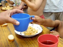Malnutrición infantil en el NEA: agronegocios y dinámica familiar en el foco del problema