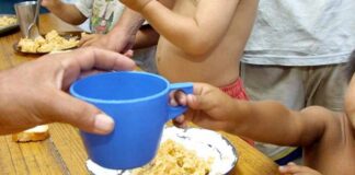 NUEVOS CONOCIMIENTOS Malnutrición infantil en el NEA: agronegocios y dinámica familiar en el foco del problema