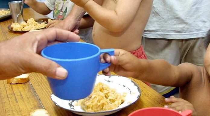 NUEVOS CONOCIMIENTOS Malnutrición infantil en el NEA: agronegocios y dinámica familiar en el foco del problema