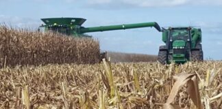 Estudian impacto de la compactación del suelo por el tránsito de maquinarias en la cosecha de maíz