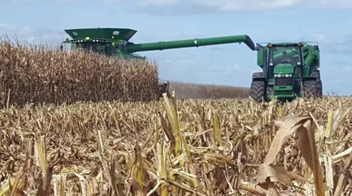 Estudian impacto de la compactación del suelo por el tránsito de maquinarias en la cosecha de maíz