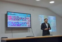 Nuevos Conocimientos Estudio preliminar con Paclitaxel muestra resultados alentadores en células de cáncer colorrectal