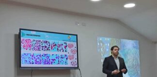 Nuevos Conocimientos Estudio preliminar con Paclitaxel muestra resultados alentadores en células de cáncer colorrectal