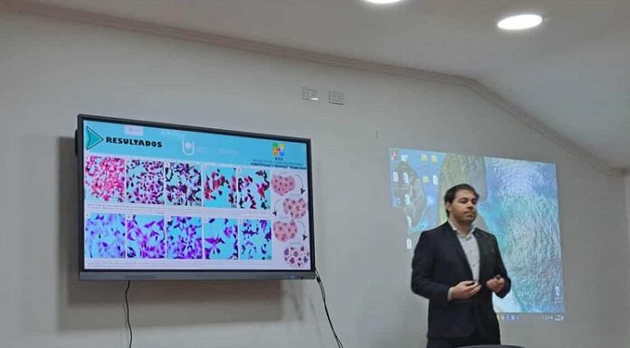 Nuevos Conocimientos Estudio preliminar con Paclitaxel muestra resultados alentadores en células de cáncer colorrectal