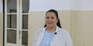 PUNTO UNNE Dengue: serotipos que circulan en el NEA, recomendaciones y poblaciones de riesgo