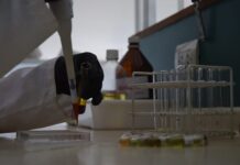 INNOVACIÓN PARA LA SUSTENTABILIDAD Con microcápsulas de productos naturales, buscan el control de bacterias que afectan al tomate y otros cultivos