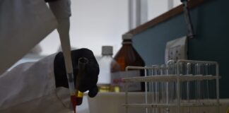 INNOVACIÓN PARA LA SUSTENTABILIDAD Con microcápsulas de productos naturales, buscan el control de bacterias que afectan al tomate y otros cultivos