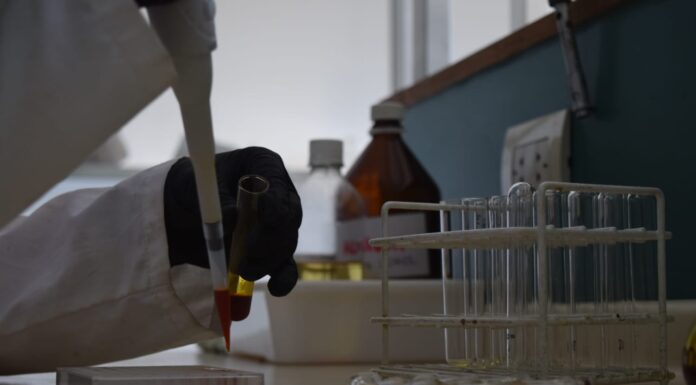 INNOVACIÓN PARA LA SUSTENTABILIDAD Con microcápsulas de productos naturales, buscan el control de bacterias que afectan al tomate y otros cultivos