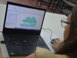 Con simulación computacional estudian las variaciones de temperaturas máximas en «micro-climas» urbanos