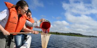 La UNNE participa de un proyecto internacional para relevar microplástico en ríos y lagunas