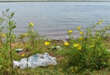 PROFESORADO EN CIENCIAS QUÍMICAS Y DEL AMBIENTE - FACENA - UNNE Microplásticos: estudiantes de la UNNE analizan esta amenaza ambiental con una propuesta educativa-informativa