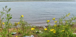 PROFESORADO EN CIENCIAS QUÍMICAS Y DEL AMBIENTE - FACENA - UNNE Microplásticos: estudiantes de la UNNE analizan esta amenaza ambiental con una propuesta educativa-informativa