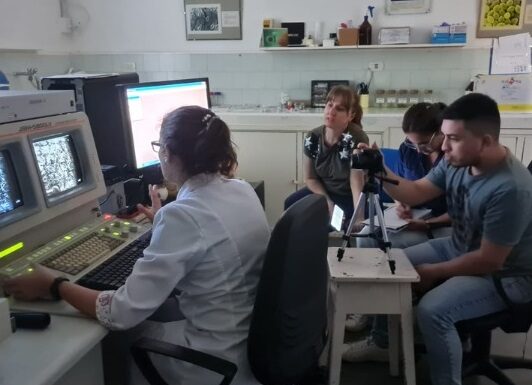 CIENCIA UNNE Con apoyo en tecnologías de microscopía, buscan desarrollar métodos aplicables al esclarecimiento de hechos delictivos