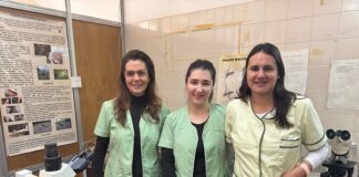 Investigación Nuevos hallazgos sobre la transmisión de parásitos en el hogar